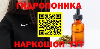 дурь Можга