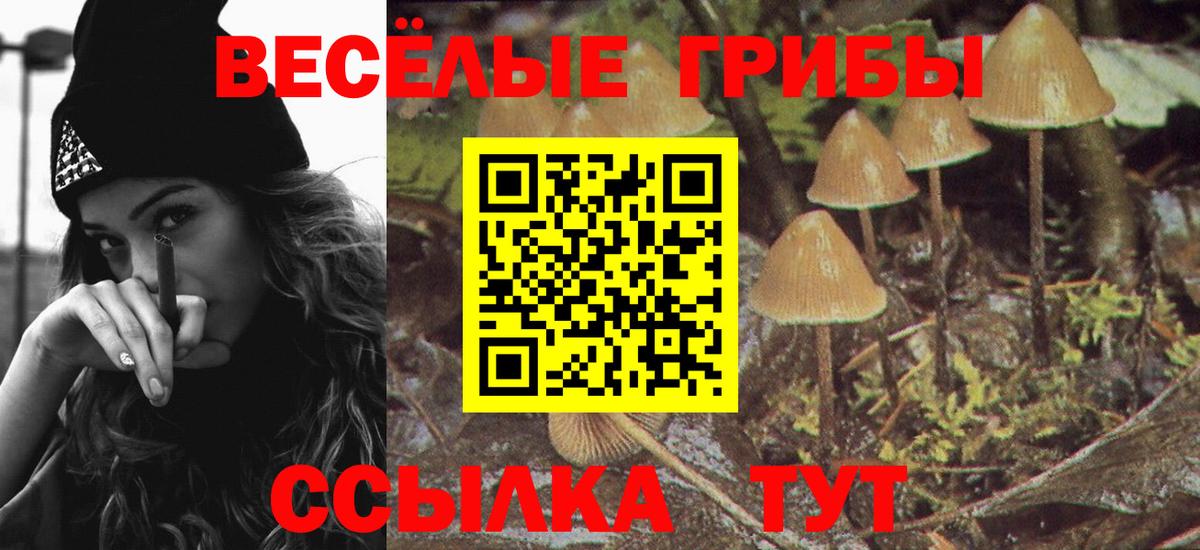 Гудермес  Псилоцибиновые грибы мицелий  Вход с VPN 